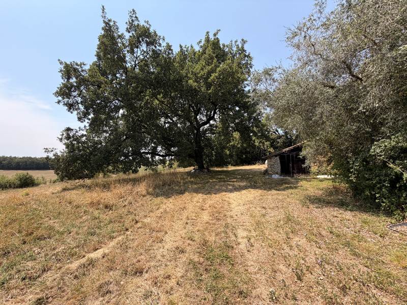 Vente Maison PAVIE - 7 pièces -443 m² - (32550)