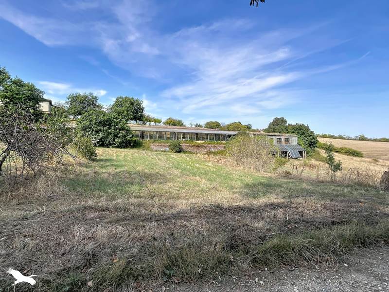 Vente Maison LASSERAN - 6 pièces -170 m² - (32550)
