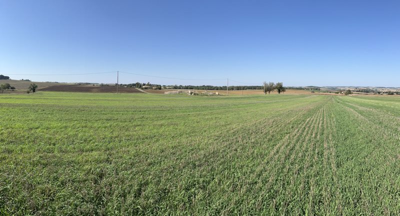 Vente Terrain FAUDOAS - -3200 m² - (82500)