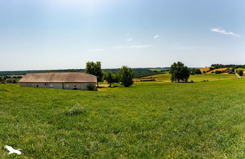 Vente Maison COUTURES - 5 pièces -151 m² - (82210)
