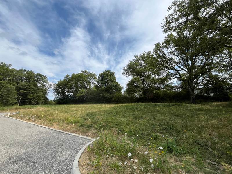 Vente Terrain PLAGNE - -825 m² - (31220)