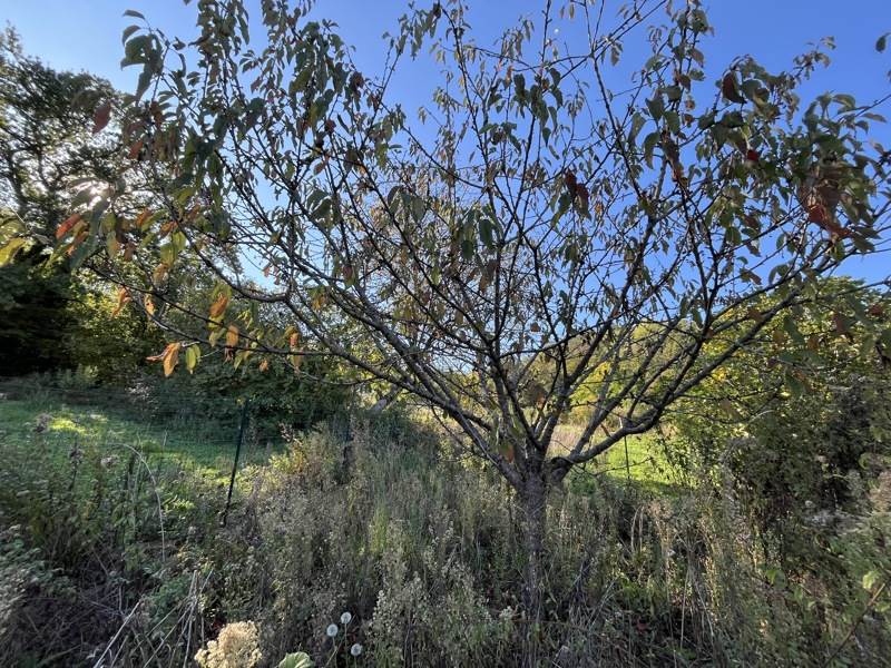Vente Maison ST MICHEL - 5 pièces -120 m² - (31220)