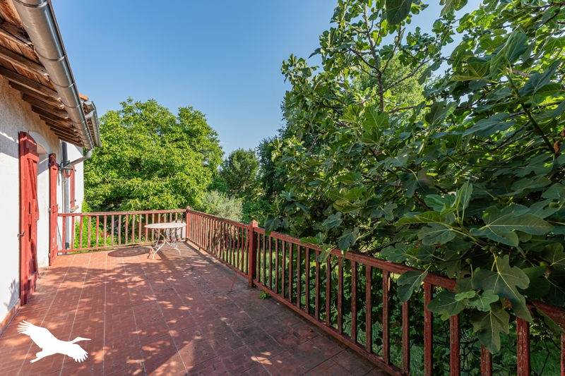 Vente Maison CASTELNAU PICAMPEAU - 7 pièces -170 m² - (31430)