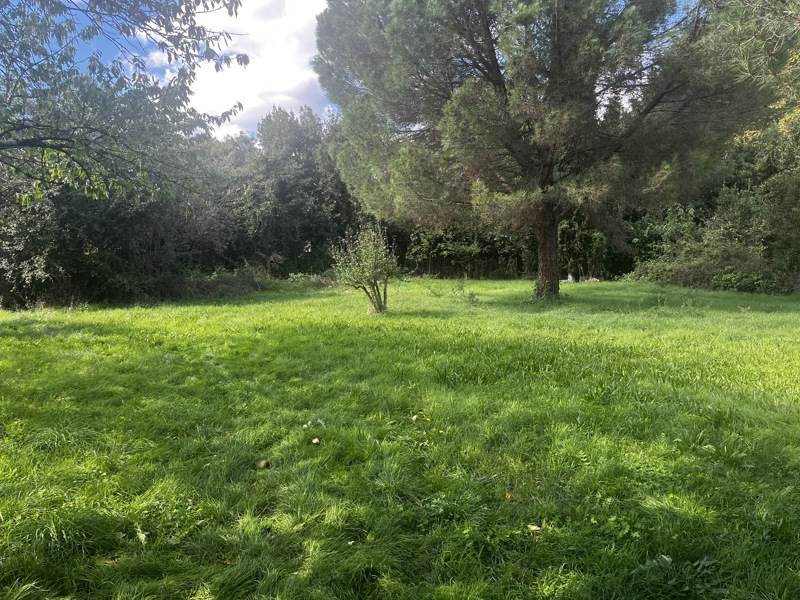 Vente Terrain LAFITTE VIGORDANE - -1446 m² - (31390)