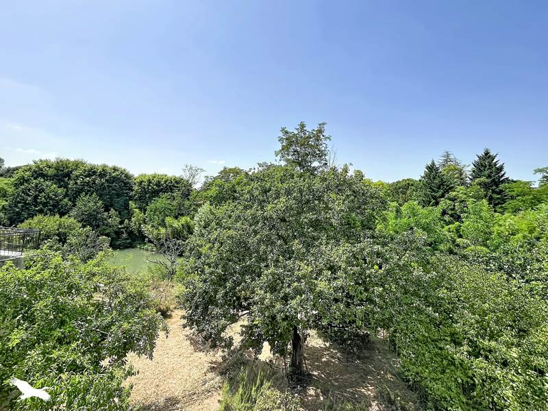 Vente Maison MONTESQUIEU VOLVESTRE - 4 pièces -76 m² - (31310)