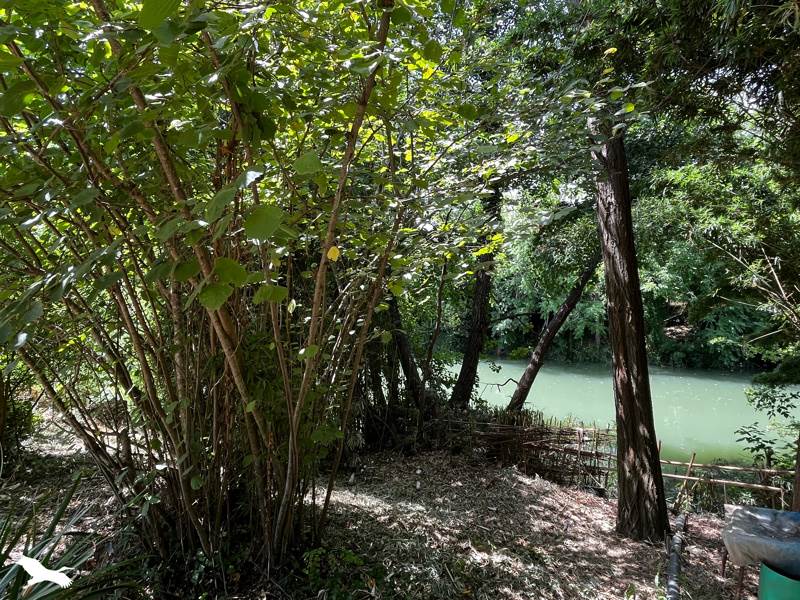 Vente Maison MONTESQUIEU VOLVESTRE - 4 pièces -76 m² - (31310)