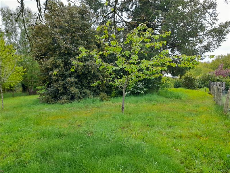 Vente Maison COGNAC LA FORET - 3 pièces -58 m² - (87310)