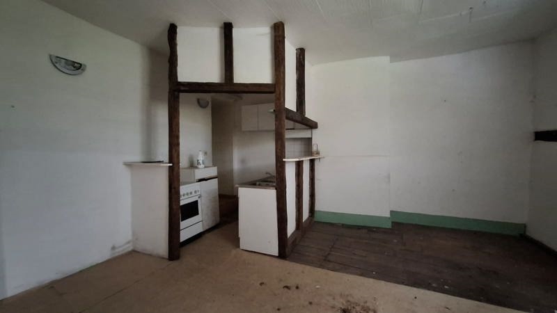 Vente Immeuble AIXE SUR VIENNE - -  272 m² - (87700)