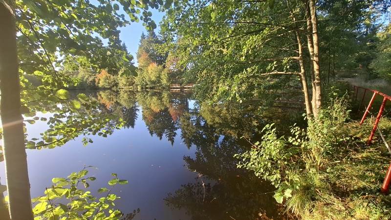 Vente Terrain ST PRIEST SOUS AIXE - -23775 m² - (87700)