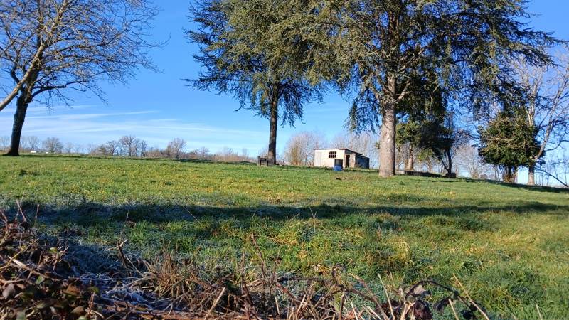 Vente Maison SEREILHAC - 10 pièces -285 m² - (87620)
