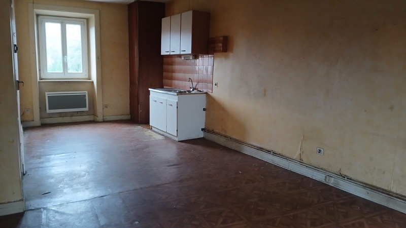 Vente Immeuble ST VICTURNIEN - -  261 m² - (87420)