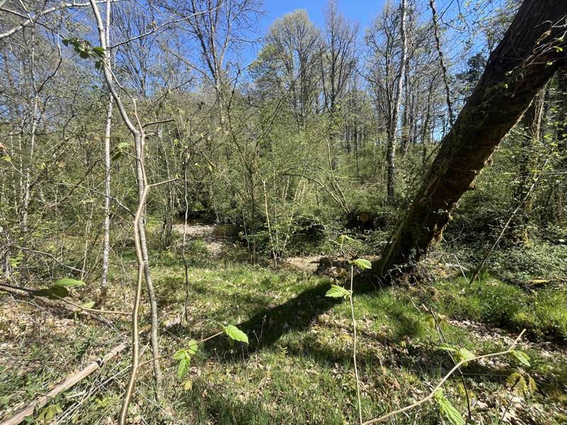 Vente Terrain VERNEUIL SUR VIENNE - -4300 m² - (87430)