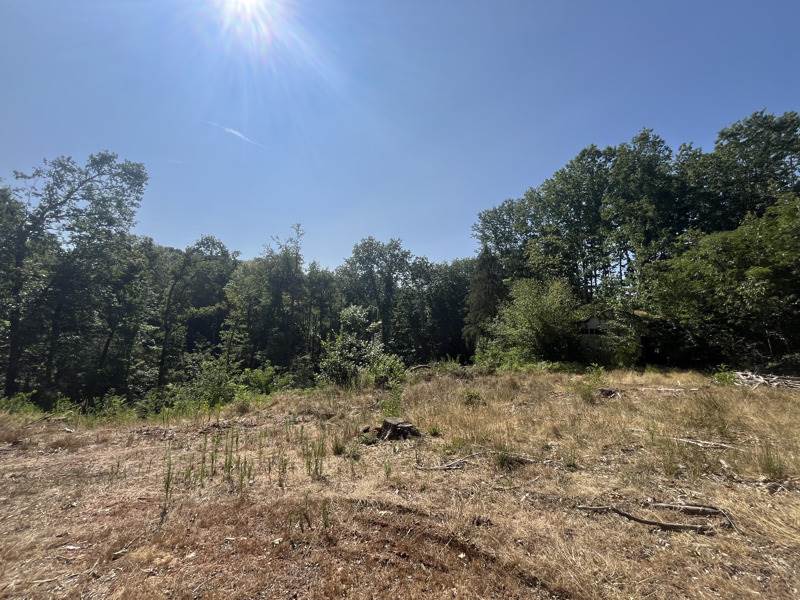 Vente Terrain VERNEUIL SUR VIENNE - -4300 m² - (87430)