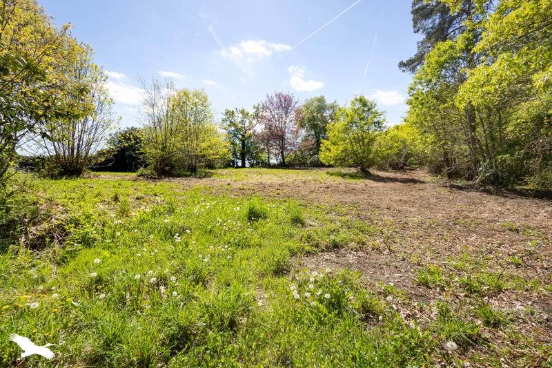 Vente Maison ST YRIEIX SOUS AIXE - 7 pièces -180 m² - (87700)