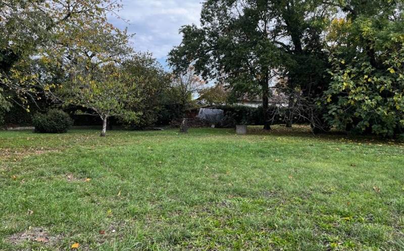 Vente Terrain MONTAUBAN - -1400 m² - (82000)