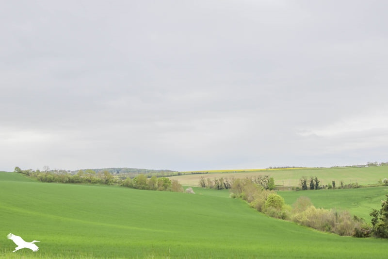 Vente Maison BEYNES - 5 pièces -107 m² - (78650)
