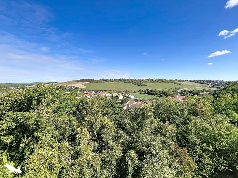 Vente Appartement Beynes - 2 pièces -37,8 m² - (78650)