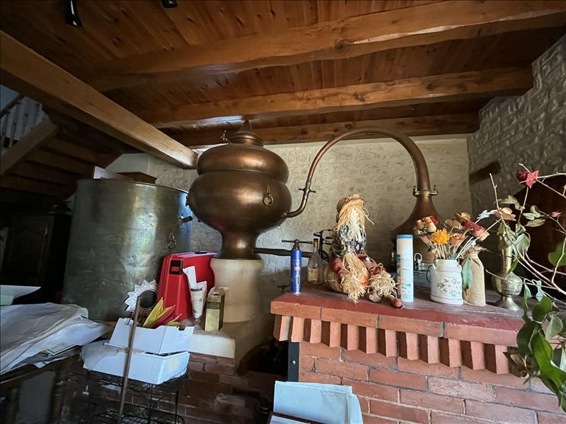 Vente Maison GERMIGNAC - 7 pièces -306 m² - (17520)