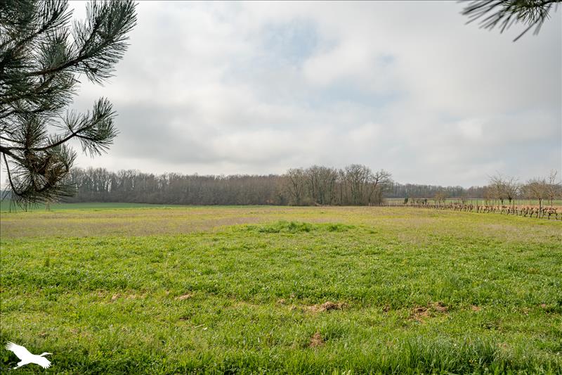 Vente Maison GERMIGNAC - 7 pièces -306 m² - (17520)