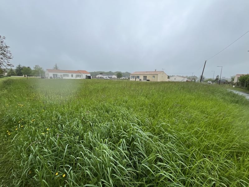Vente Terrain PONS - -967 m² - (17800)