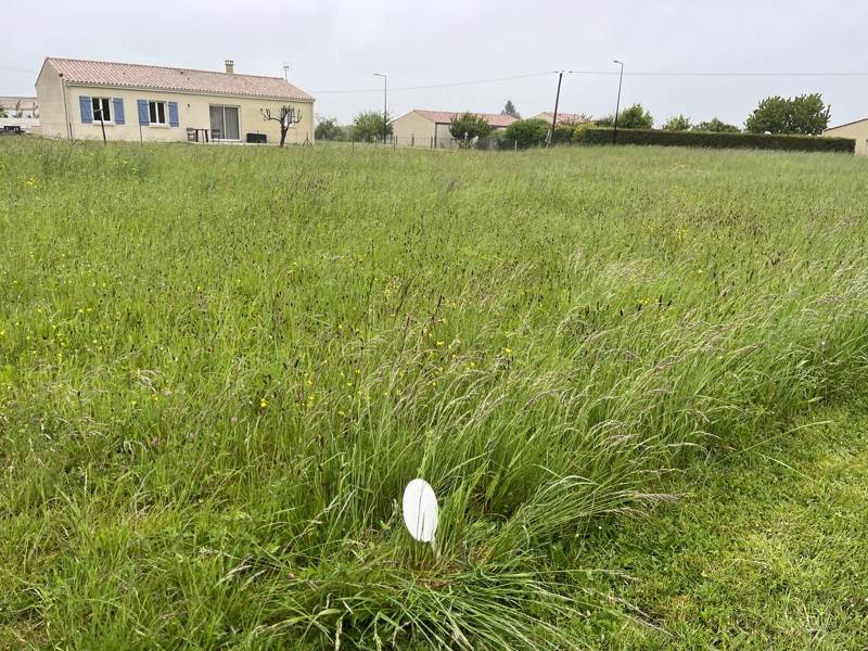 Vente Terrain PONS - -967 m² - (17800)