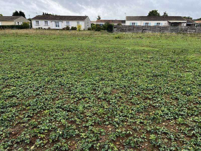 Vente Terrain TESSON - -753 m² - (17460)