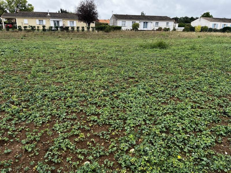 Vente Terrain TESSON - -748 m² - (17460)