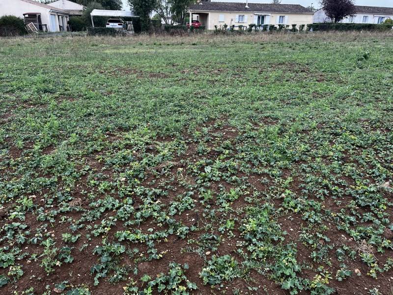 Vente Terrain TESSON - -746 m² - (17460)