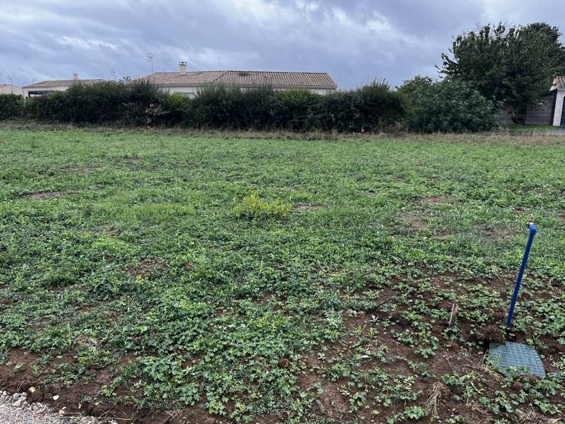 Vente Terrain TESSON - -686 m² - (17460)