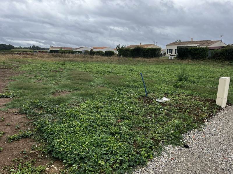 Vente Terrain TESSON - -718 m² - (17460)