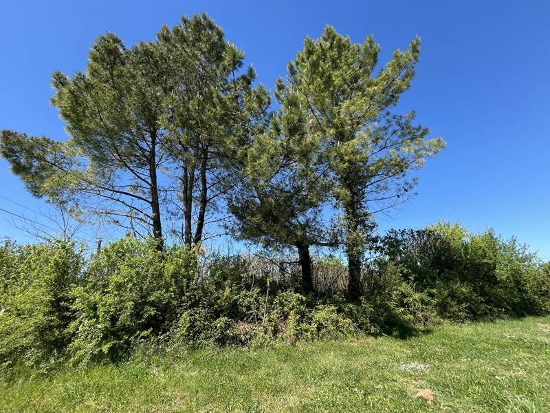 Vente Maison CHAMPAGNOLLES - 4 pièces -107 m² - (17240)