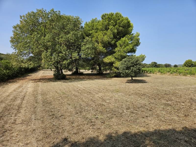 Vente Terrain MONTPEYROUX - -4600 m² - (34150)
