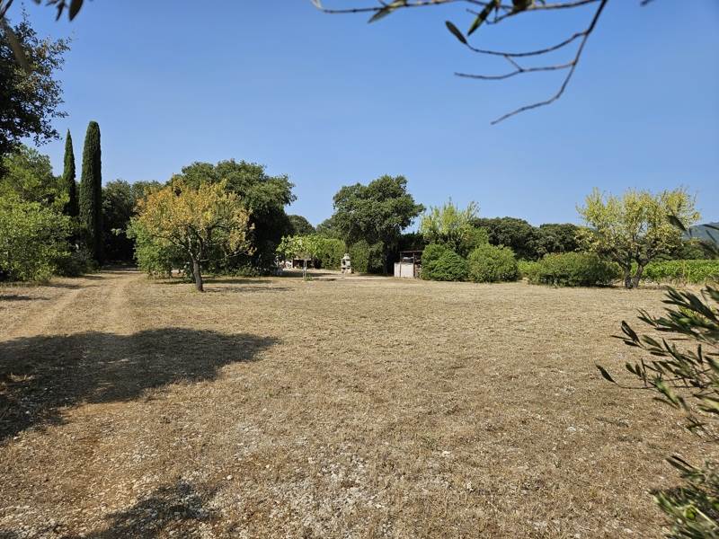 Vente Terrain MONTPEYROUX - -4600 m² - (34150)