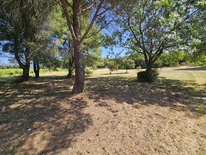 Vente Terrain MONTPEYROUX - -4600 m² - (34150)