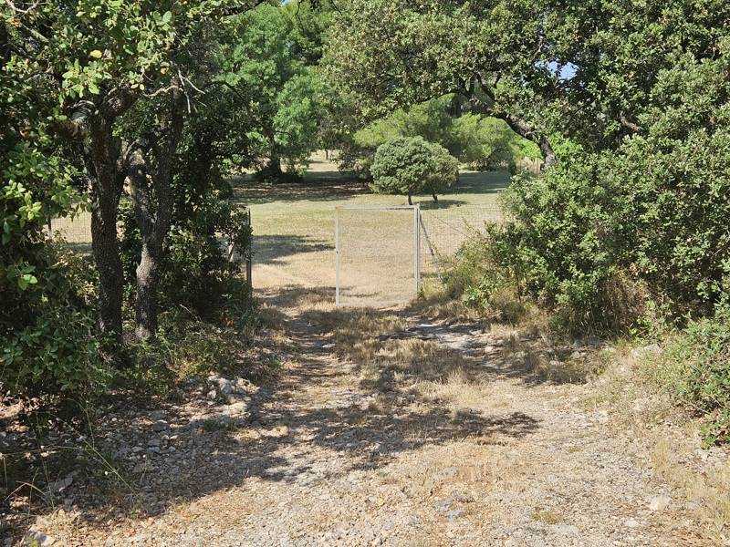 Vente Terrain MONTPEYROUX - -4600 m² - (34150)