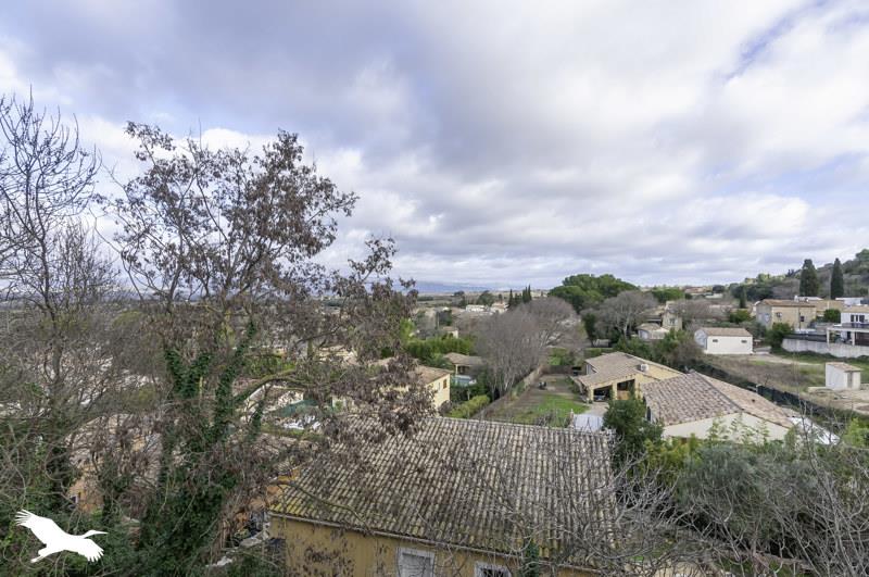 Vente Immeuble LE POUGET - -  165 m² - (34230)