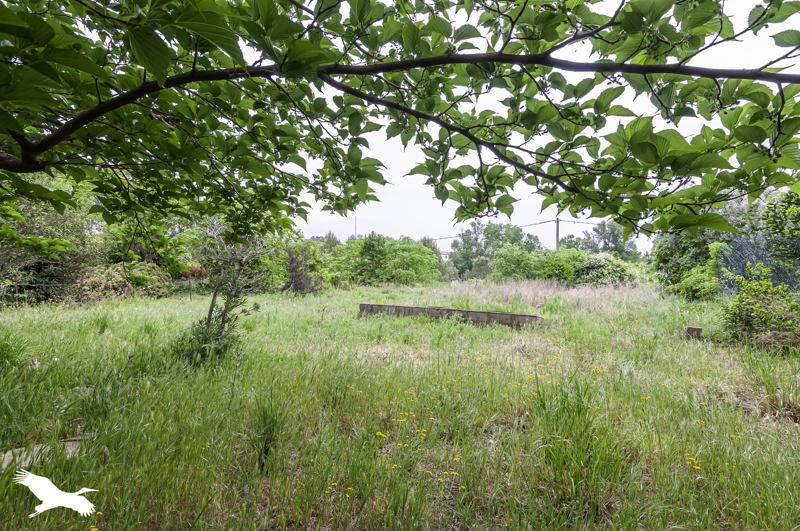 Vente Terrain ANIANE - -919 m² - (34150)