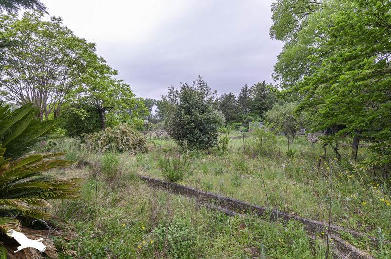 Vente Terrain ANIANE - -919 m² - (34150)