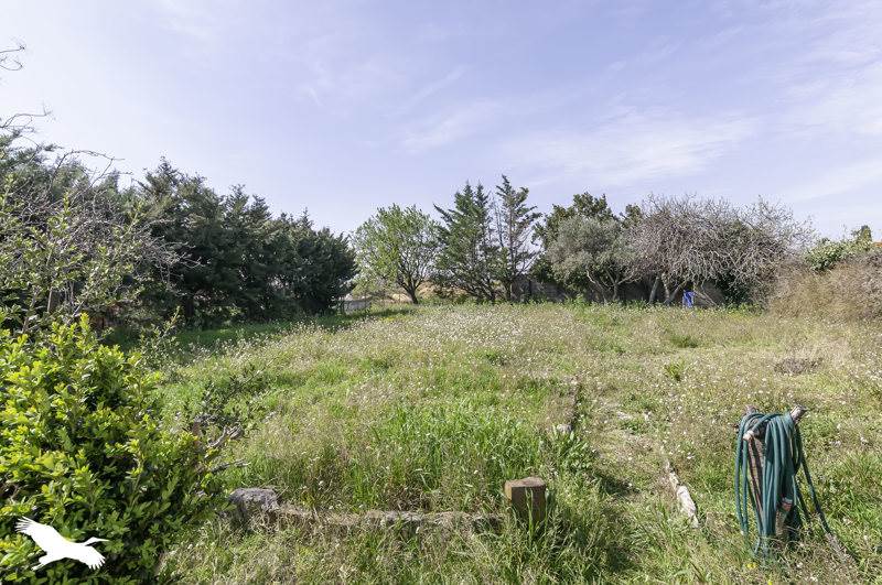 Vente Terrain MONTPEYROUX - -401 m² - (34150)