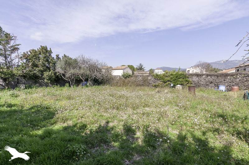 Vente Terrain MONTPEYROUX - -401 m² - (34150)