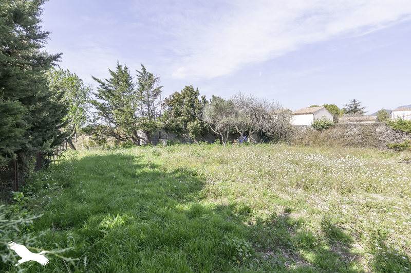Vente Terrain MONTPEYROUX - -401 m² - (34150)