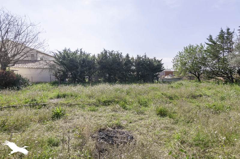 Vente Terrain MONTPEYROUX - -401 m² - (34150)