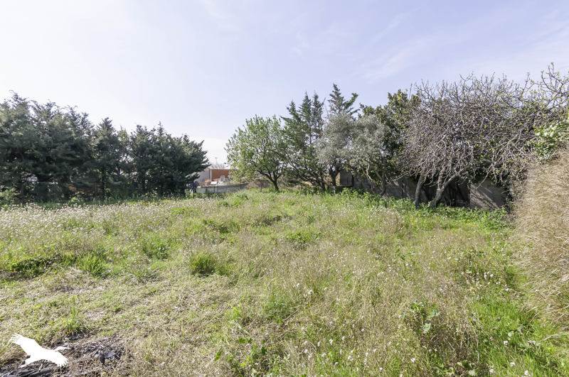 Vente Terrain MONTPEYROUX - -401 m² - (34150)