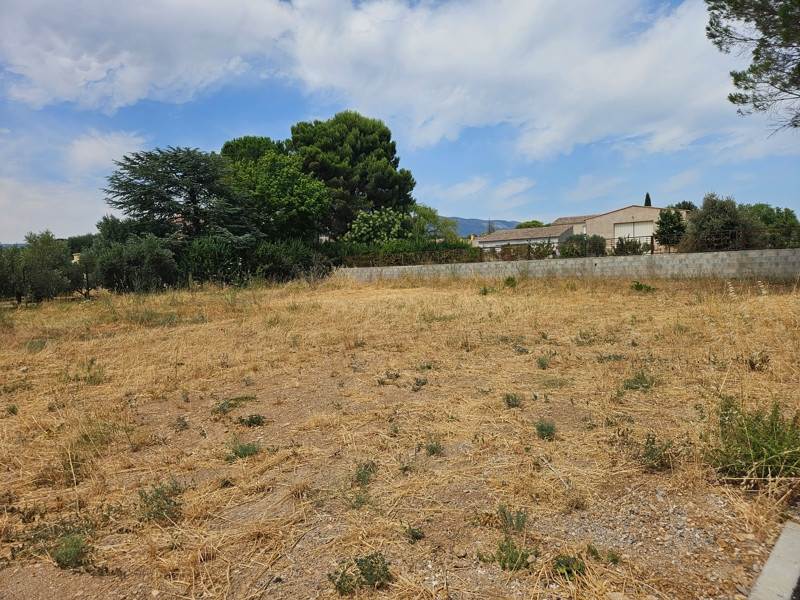 Vente Terrain JONQUIERES - -779 m² - (34725)