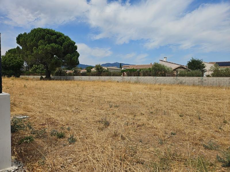 Vente Terrain JONQUIERES - -777 m² - (34725)