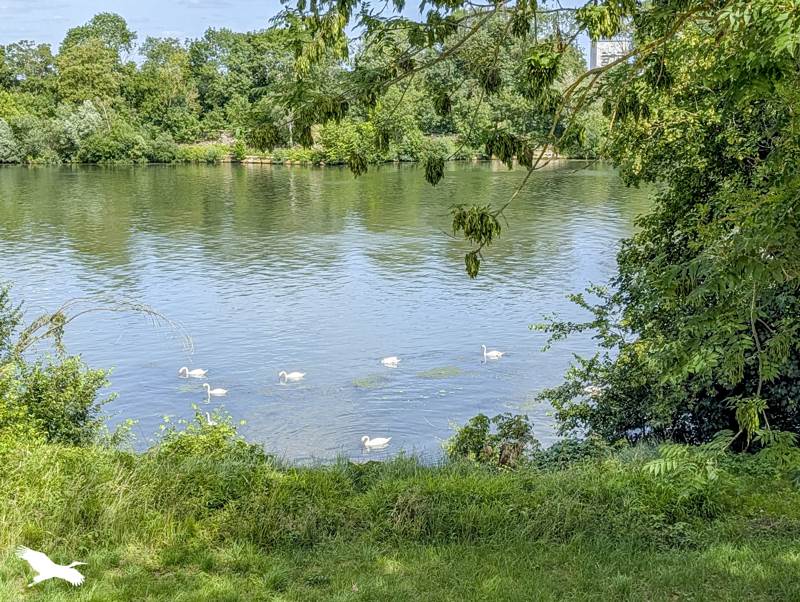 Vente Maison CARRIERES SOUS POISSY - 8 pièces -138 m² - (78955)