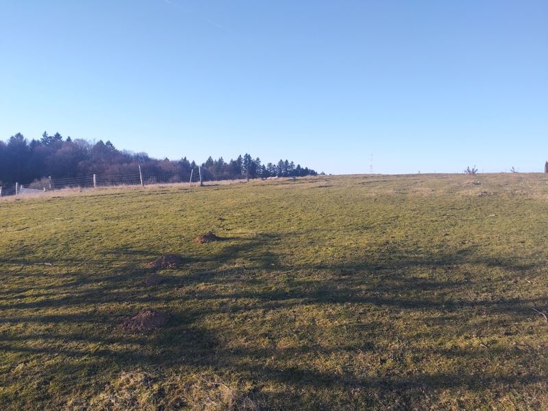 Vente Terrain TULLE - -3000 m² - (19000)