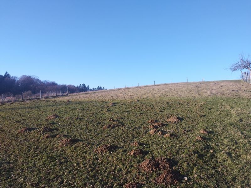 Vente Terrain TULLE - -3000 m² - (19000)