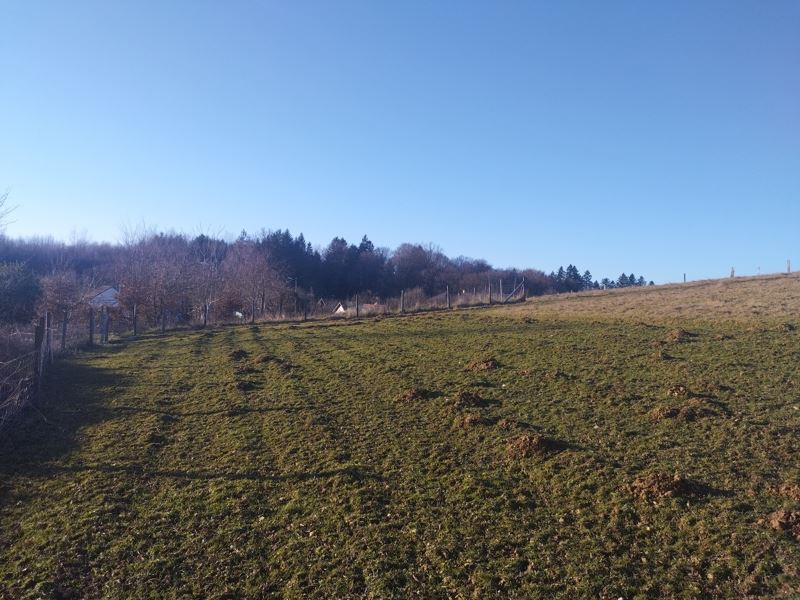 Vente Terrain TULLE - -3000 m² - (19000)
