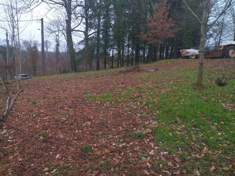 Vente Terrain NAVES - -784 m² - (19460)